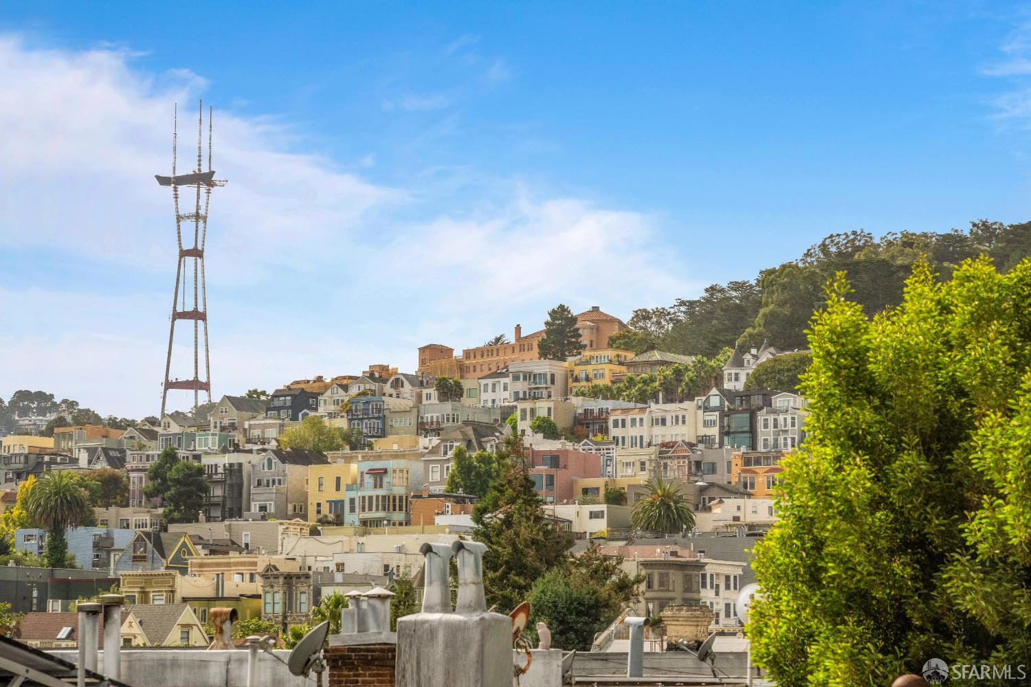 309 Steiner Street # D