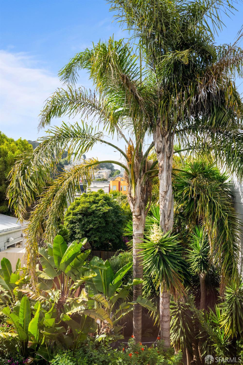 309 Steiner Street # D