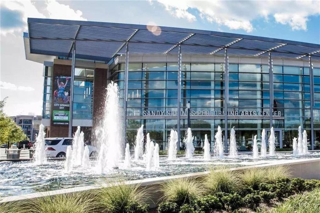 318 Sandy Springs Circle Unit 110