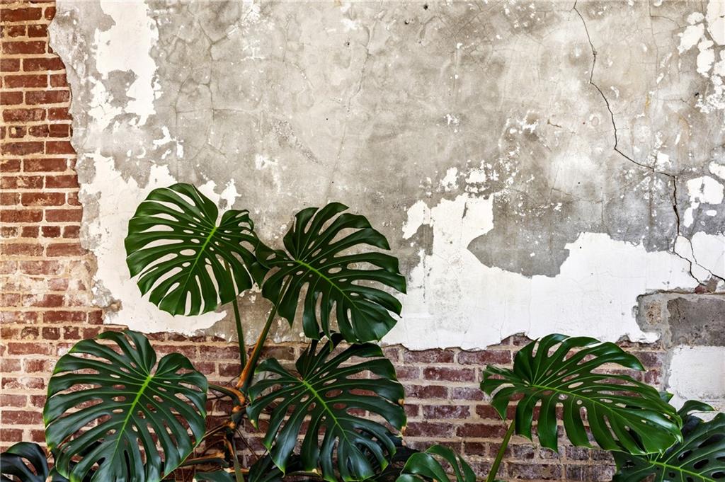 650 Glen Iris Drive NE Unit 7