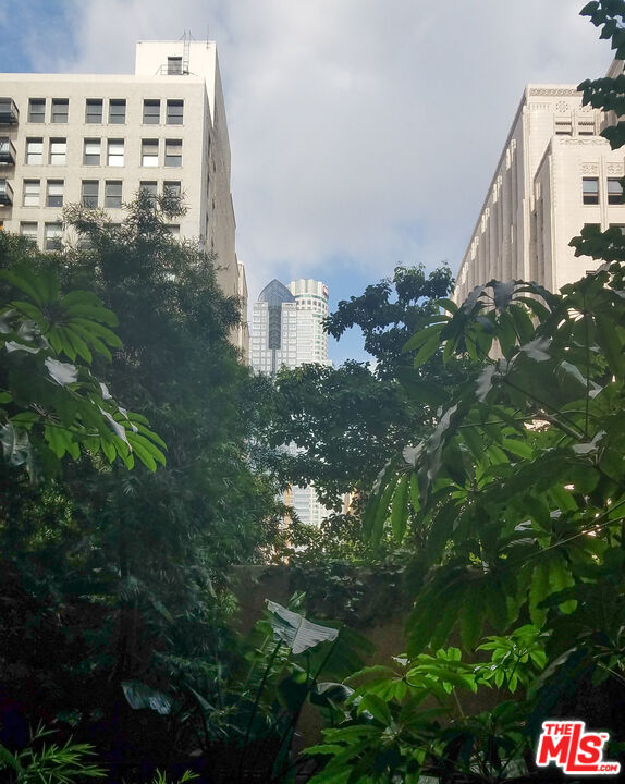 460 S Spring St Unit: 101