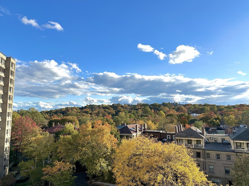 1731 Beacon St # 721