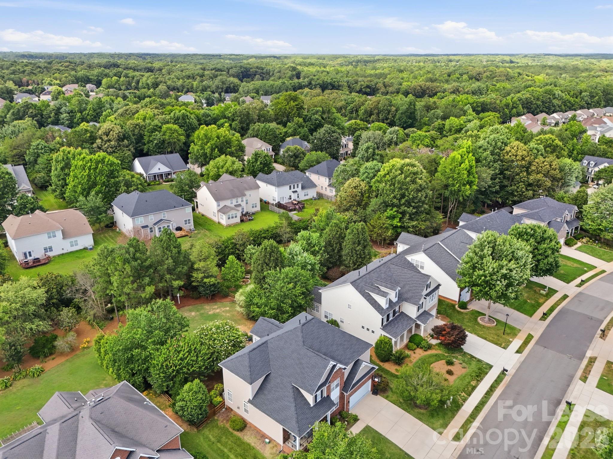 8120 Madrigal Court