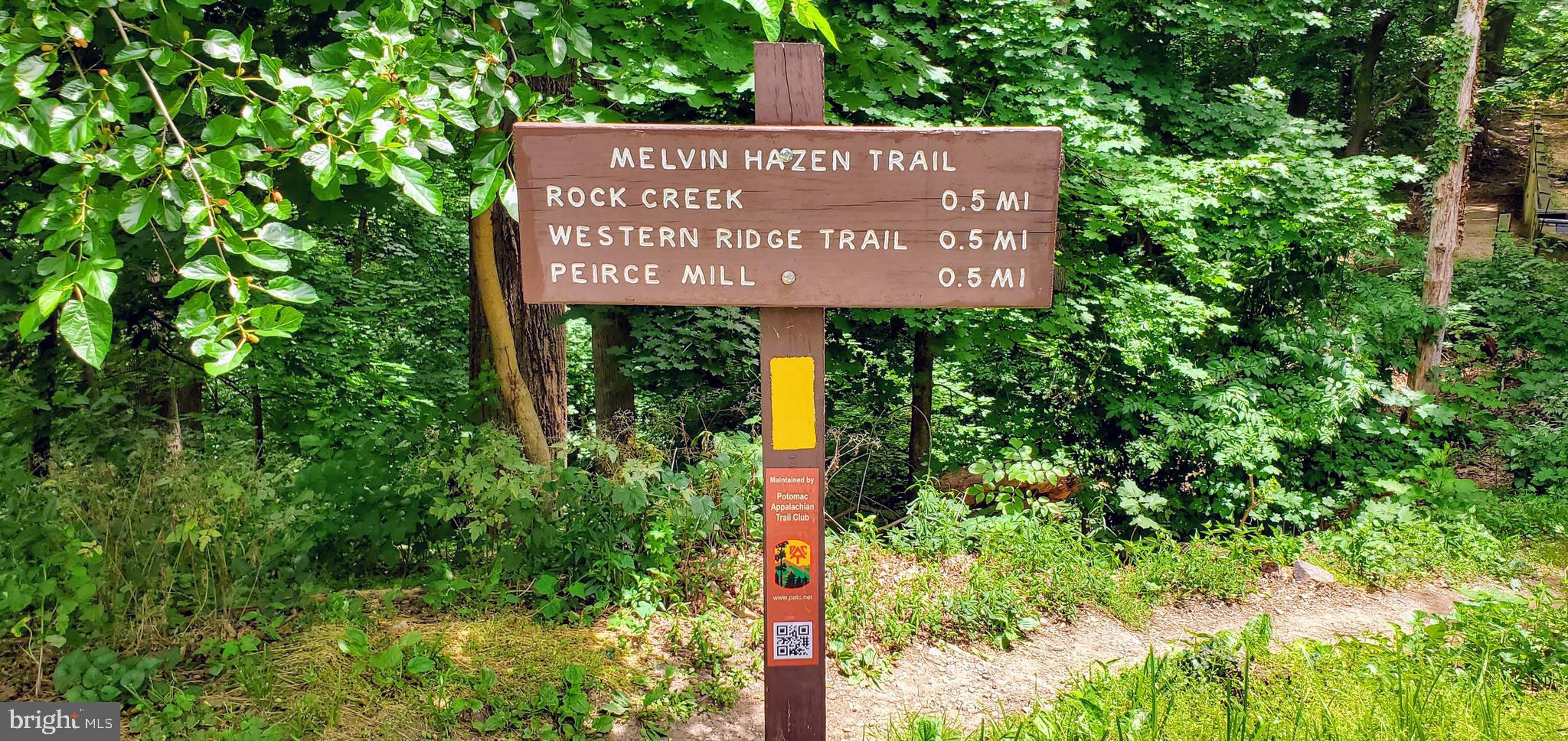 3883 Connecticut Ave NW #303