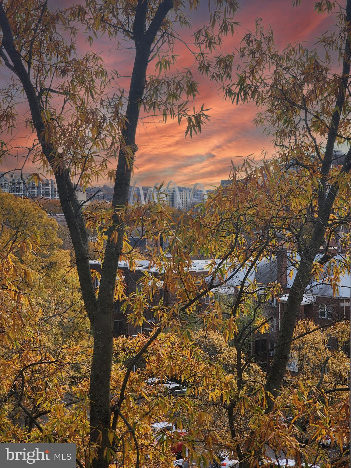 1301 DELAWARE AVENUE SW N616