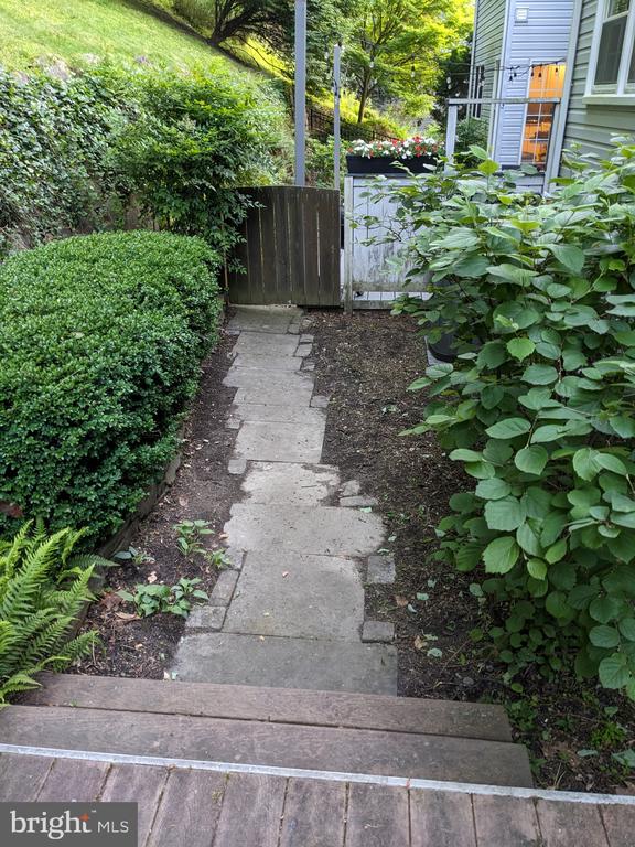 1011 LILLIES LANE