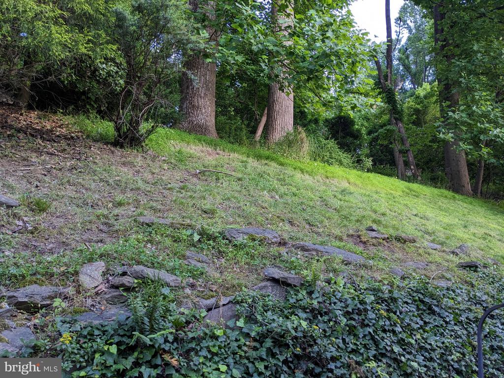 1011 LILLIES LANE