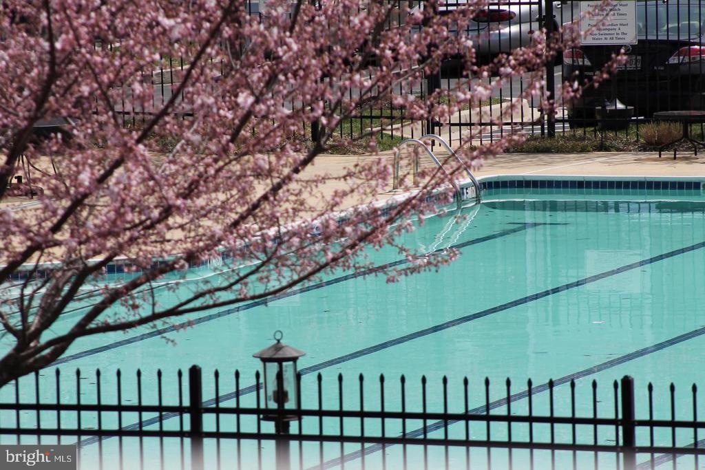 7410 CHADWELL CIRCLE Unit: 204