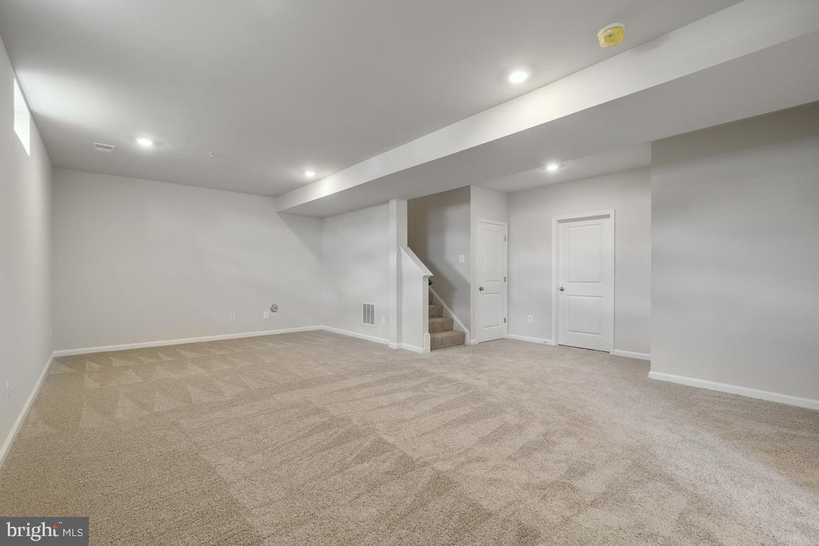 10017 Selkie Ln