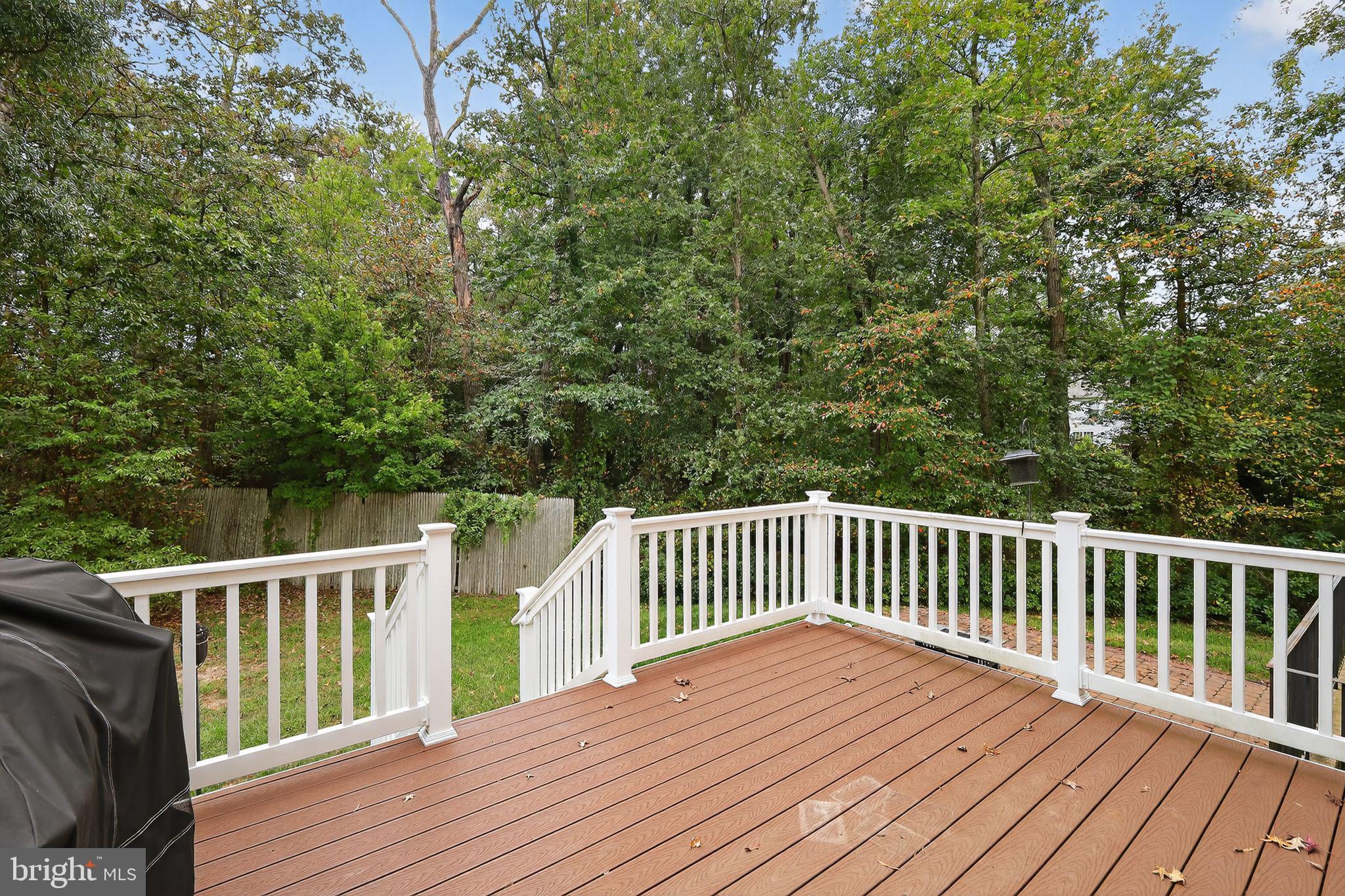 11124 FILBERTS COURT