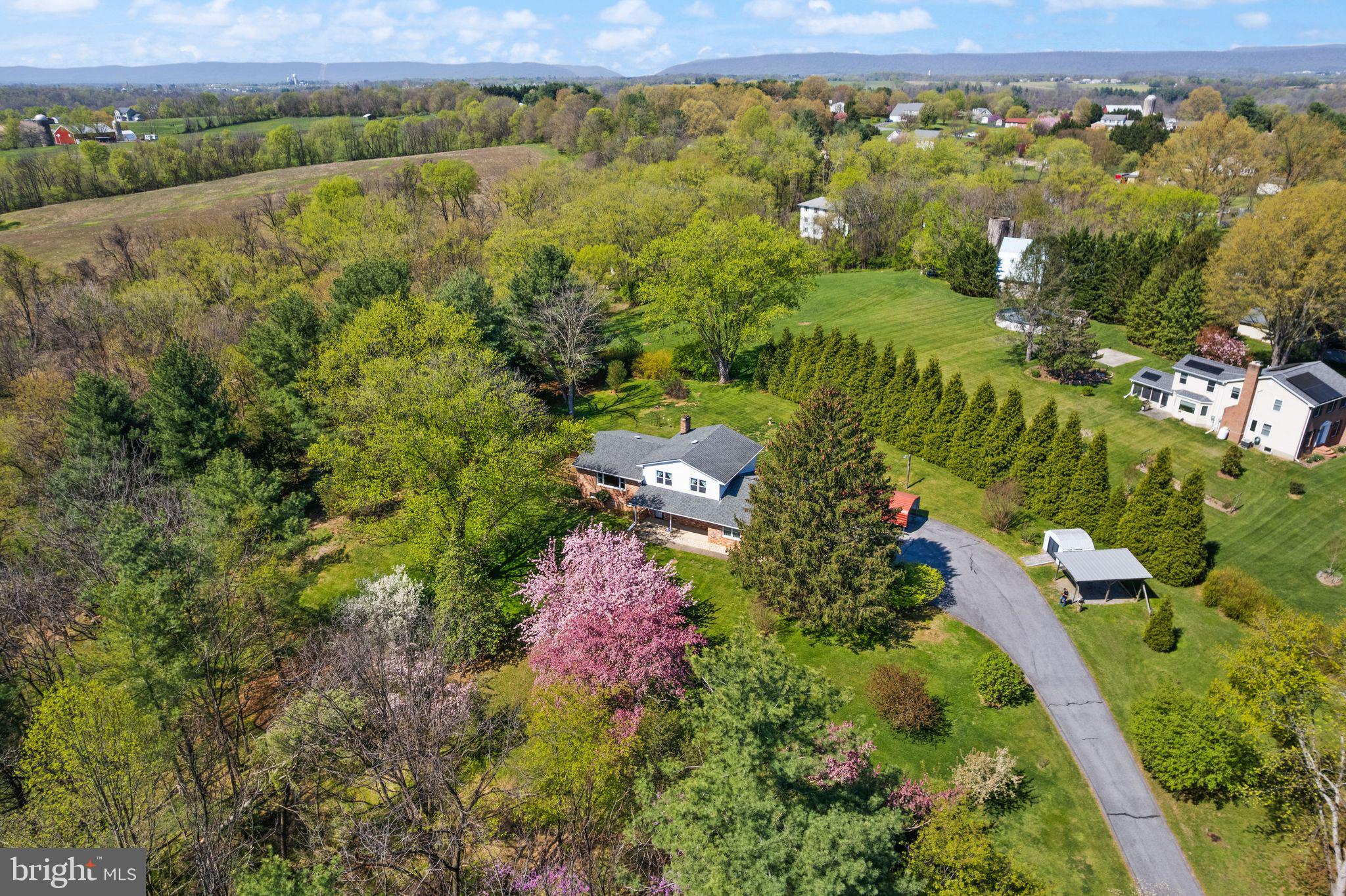4106 GENE HEMP ROAD
