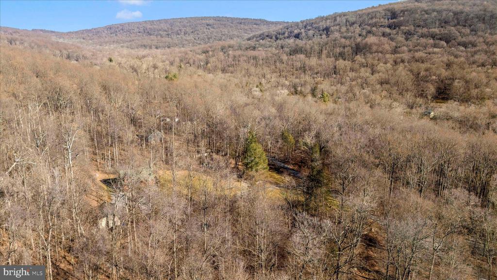 12804 SPRUCE RUN ROAD