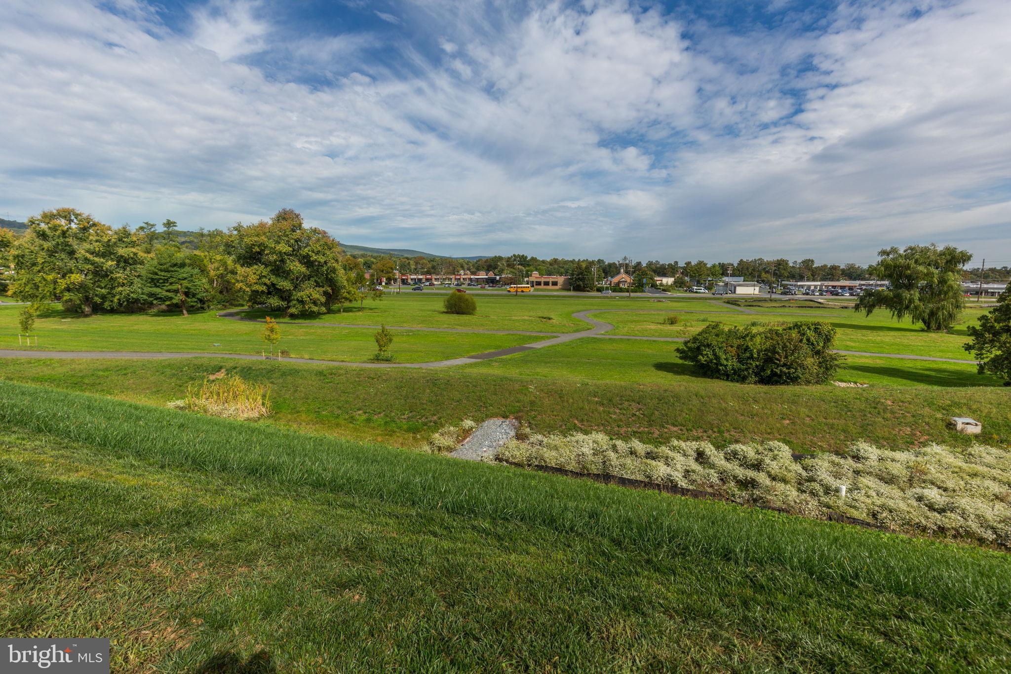 410 PEMBERTON PARK LANE