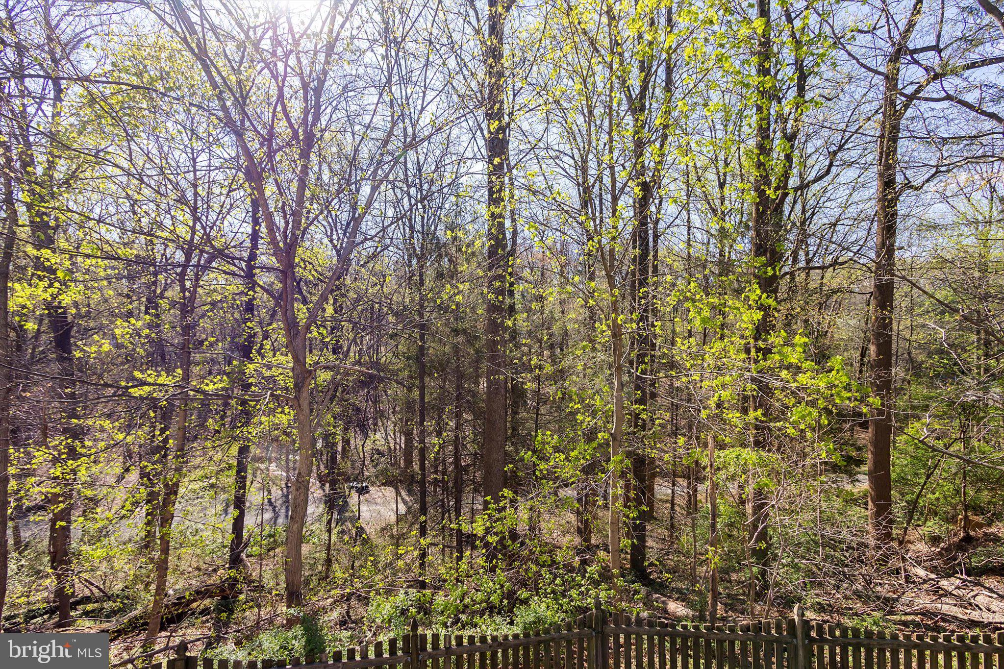 4299 WENDY COURT