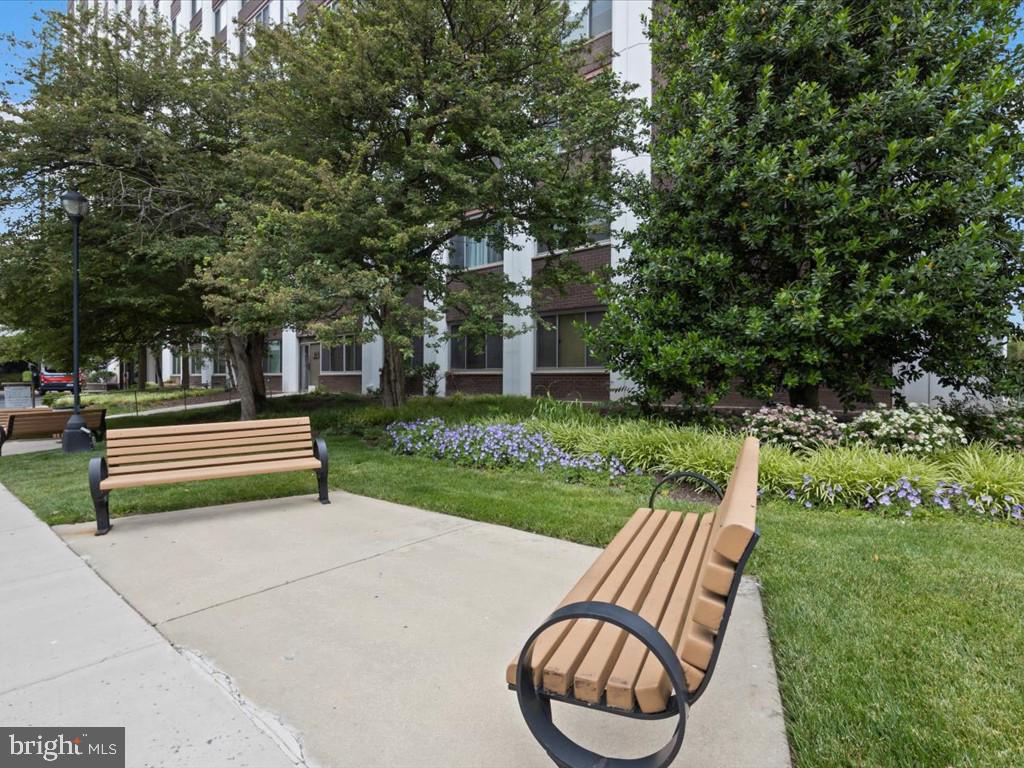 11801 ROCKVILLE PIKE Unit: 710