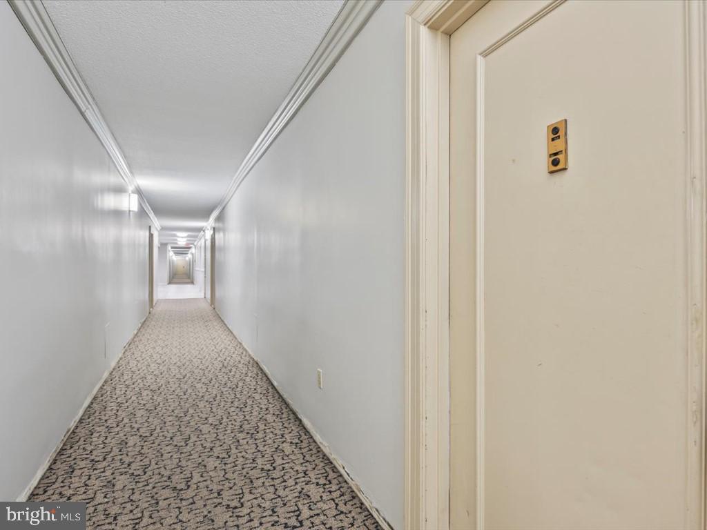 11801 ROCKVILLE PIKE Unit: 710