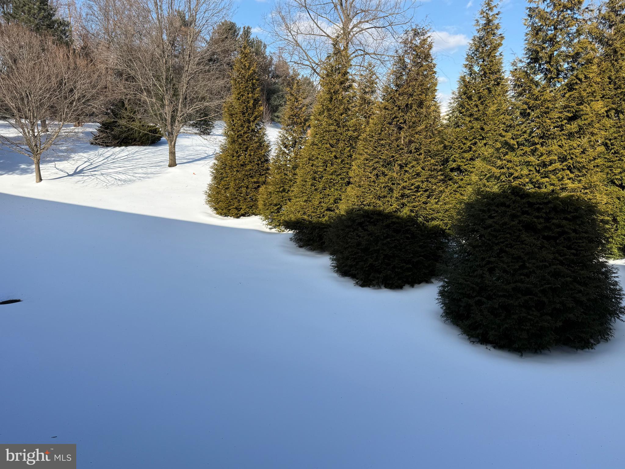 15401 BASSETT LANE 45-2E