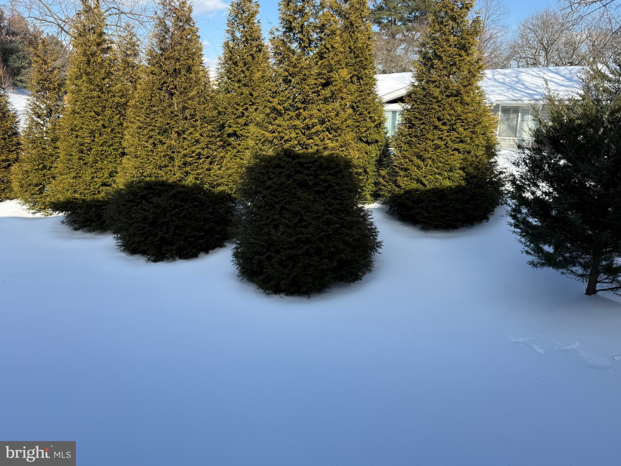 15401 BASSETT LANE 45-2E