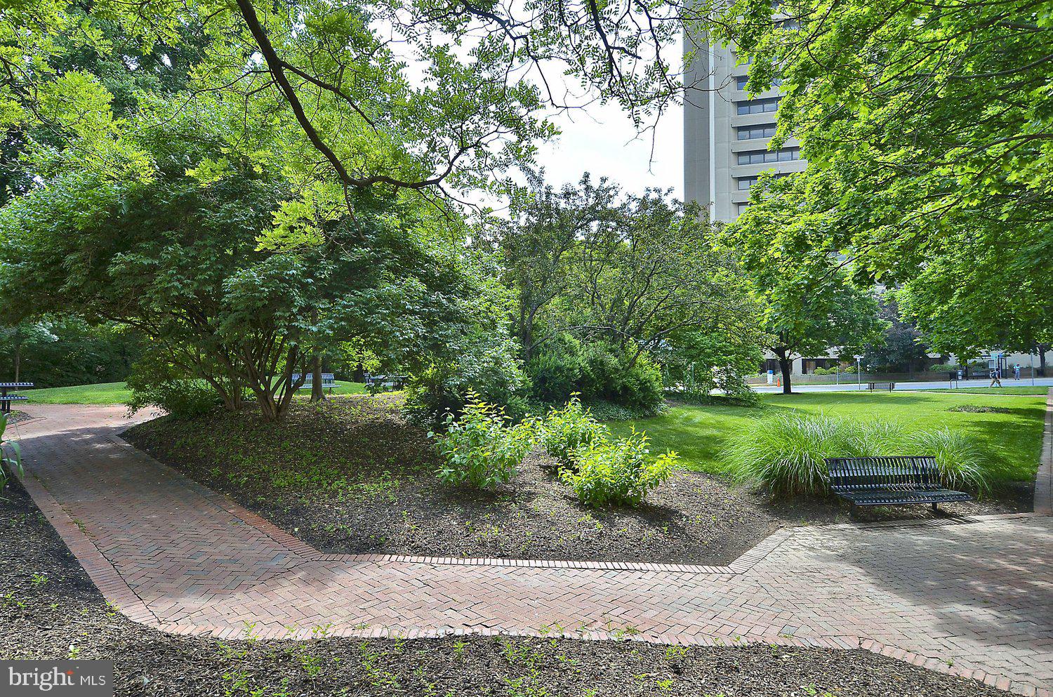 150 MONROE STREET 302