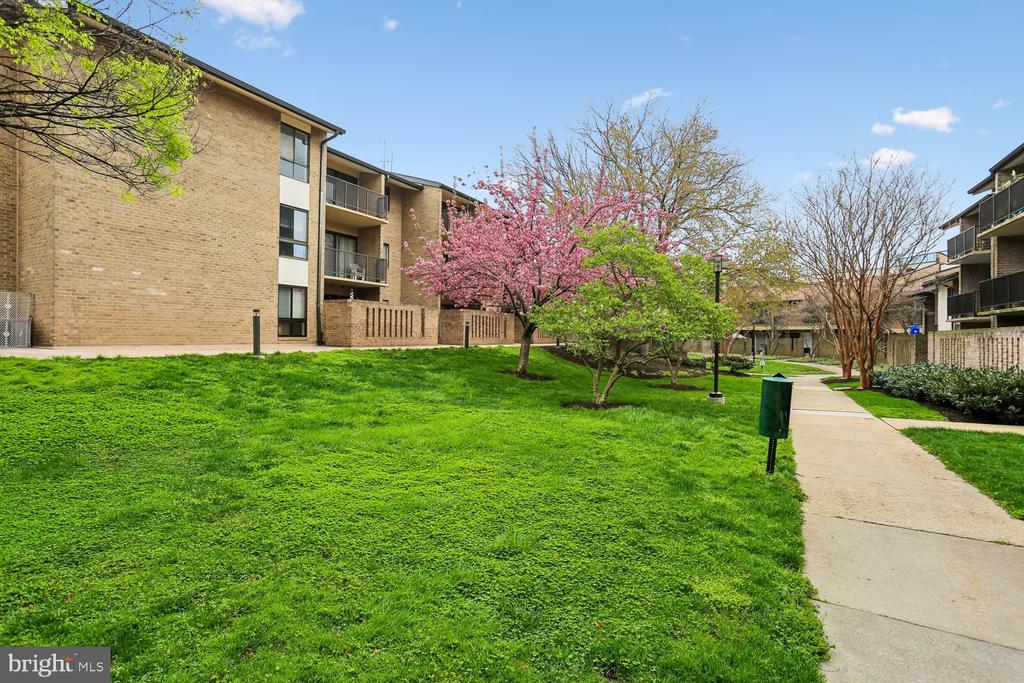 150 MONROE STREET 302