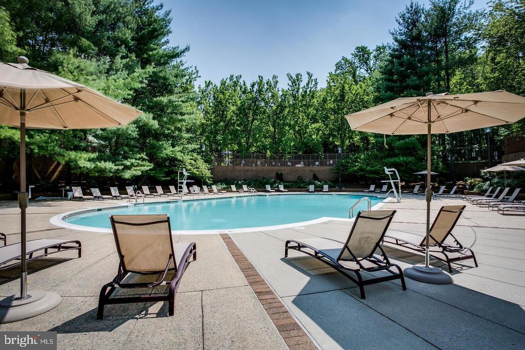 10101 GROSVENOR PLACE Unit: 1804