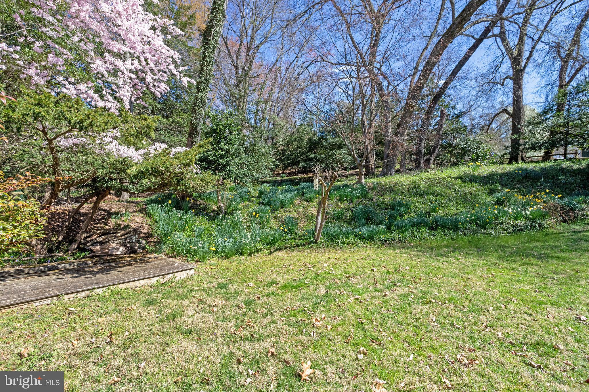 9600 Potomac Dr