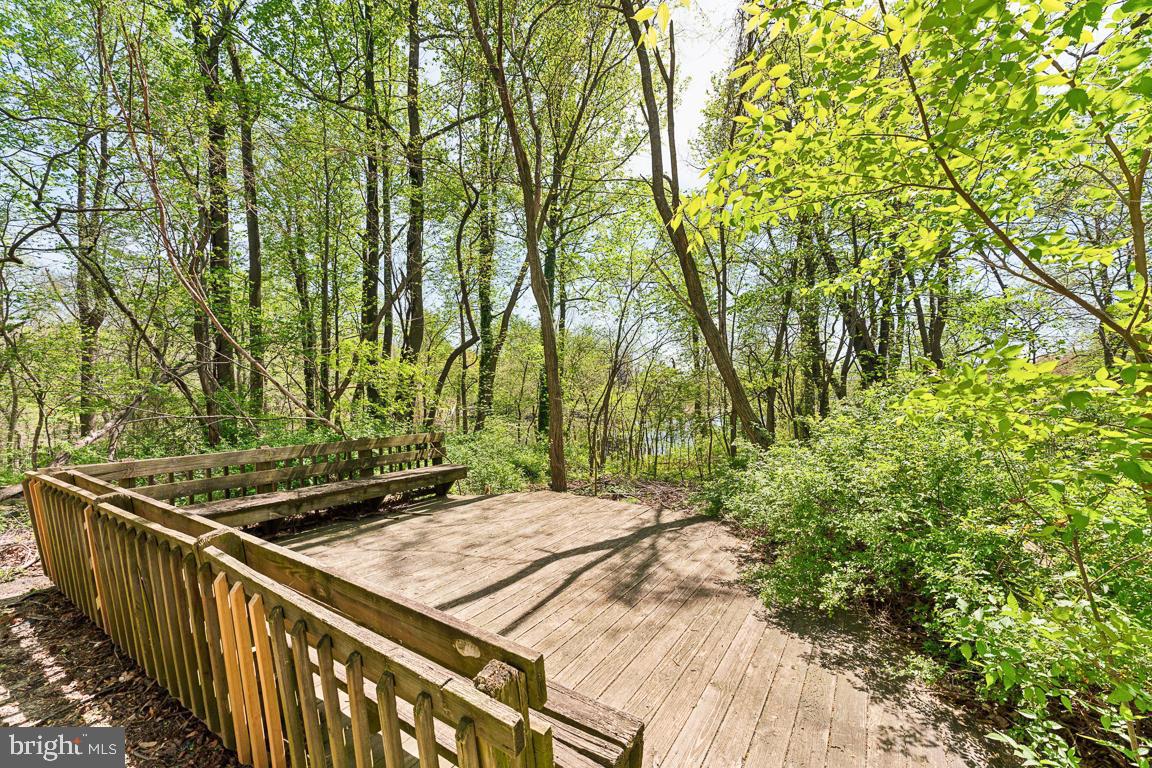 9720 Lake Pointe Ct #101