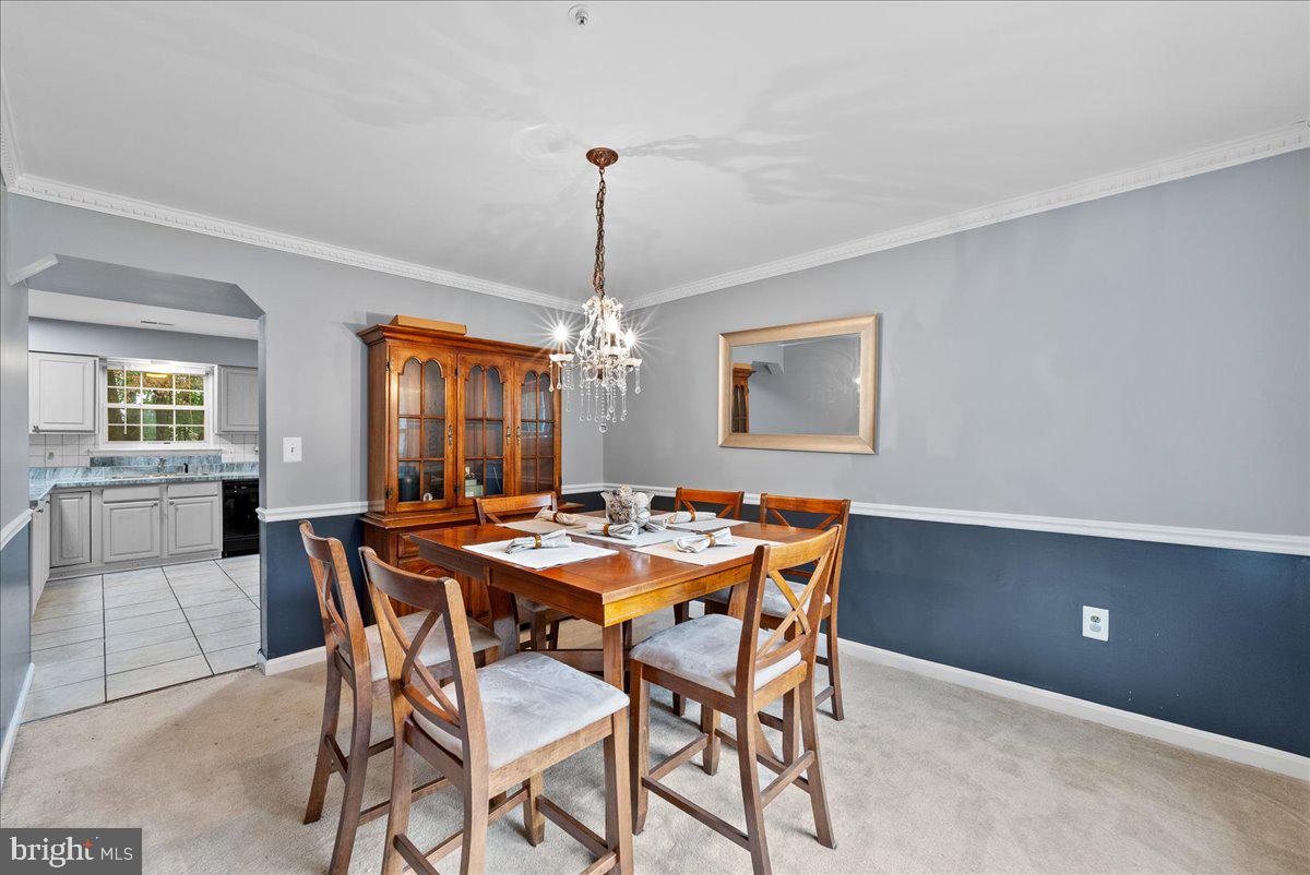 1923 Tall Timber Ct