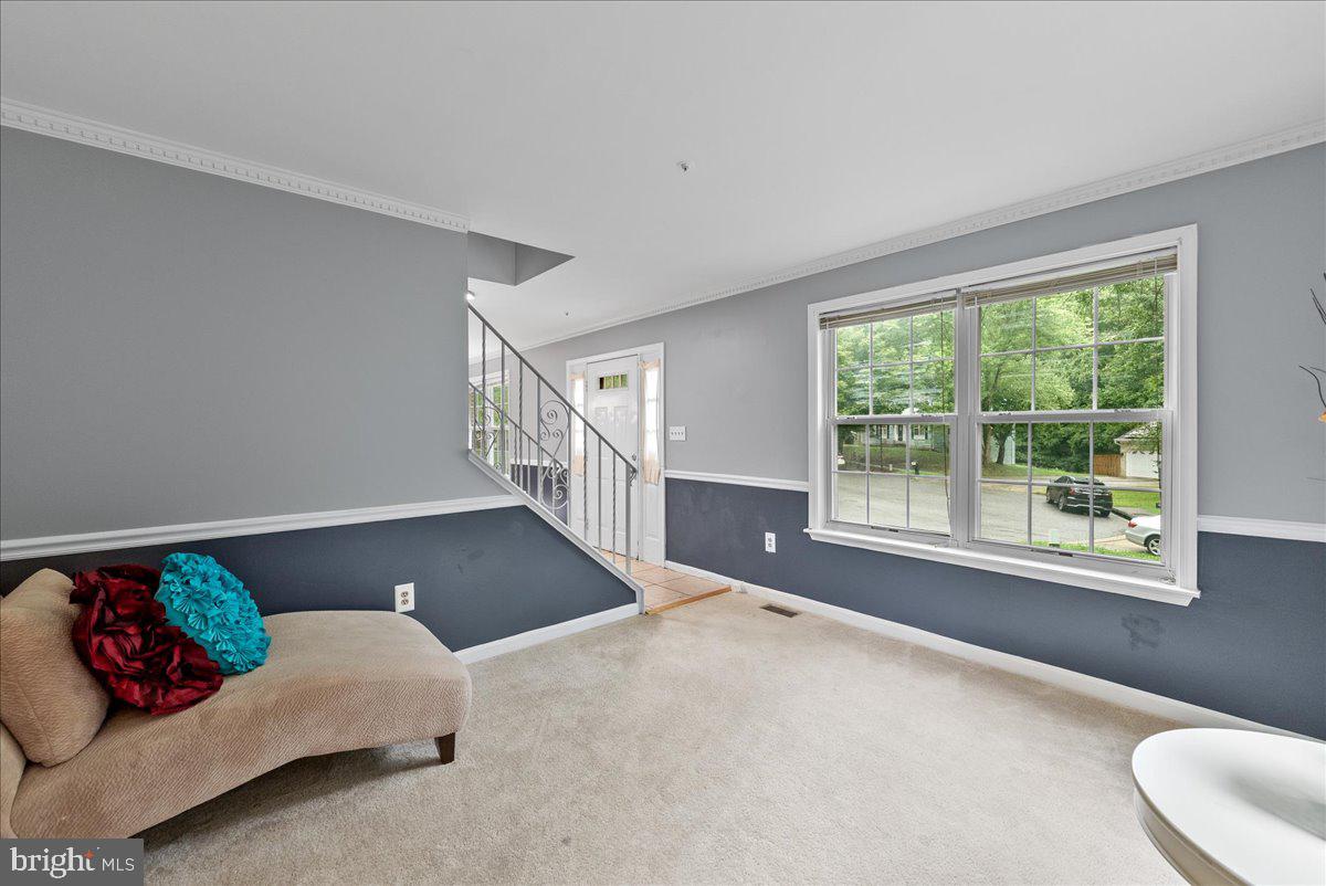 1923 Tall Timber Ct