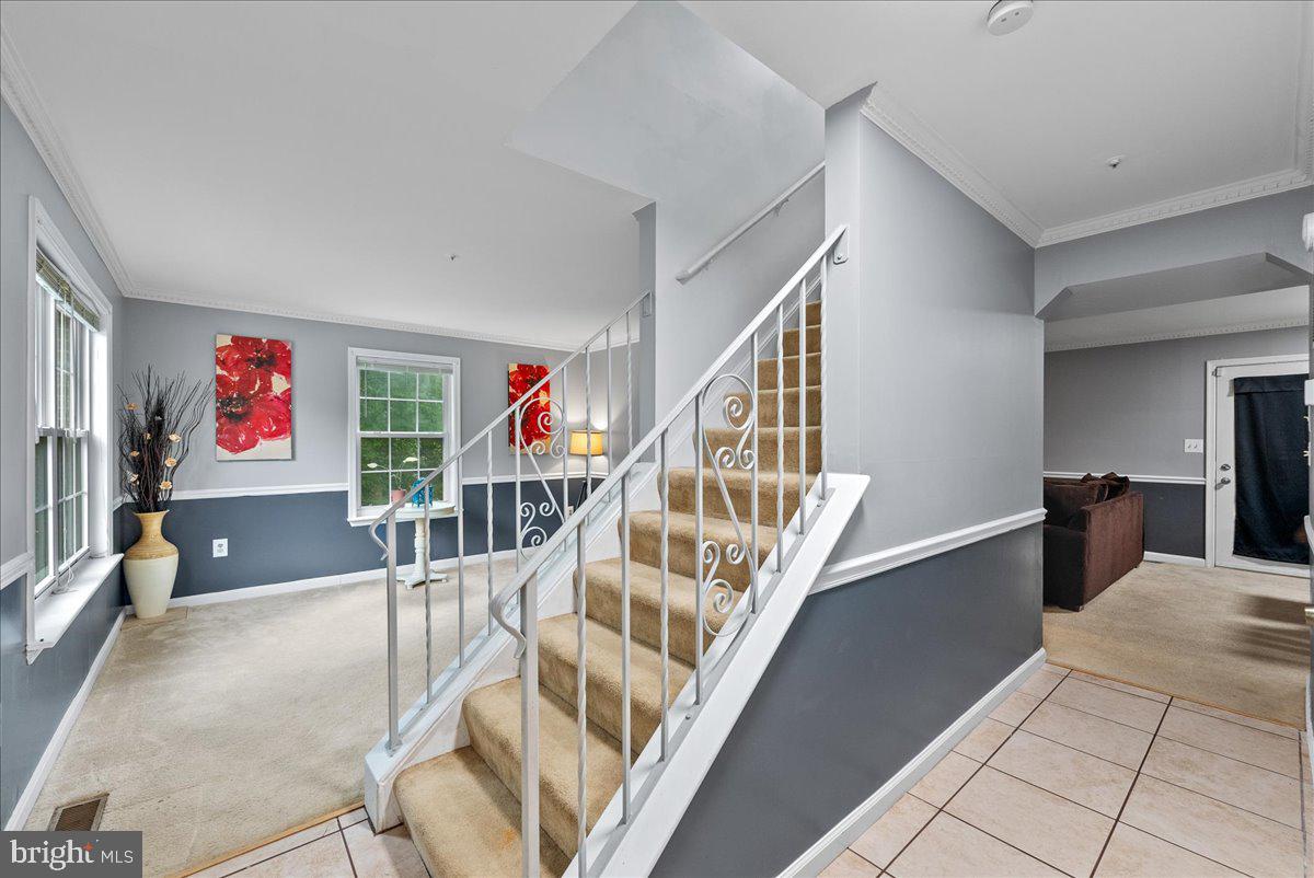 1923 Tall Timber Ct