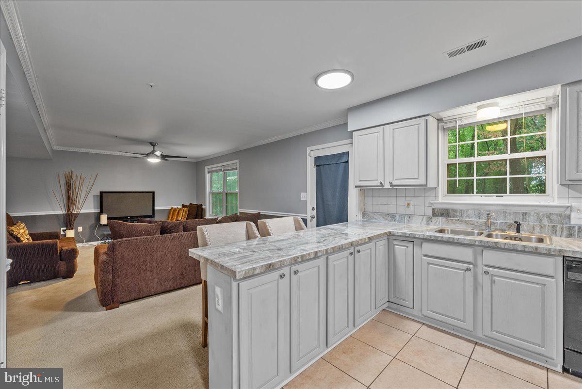 1923 Tall Timber Ct