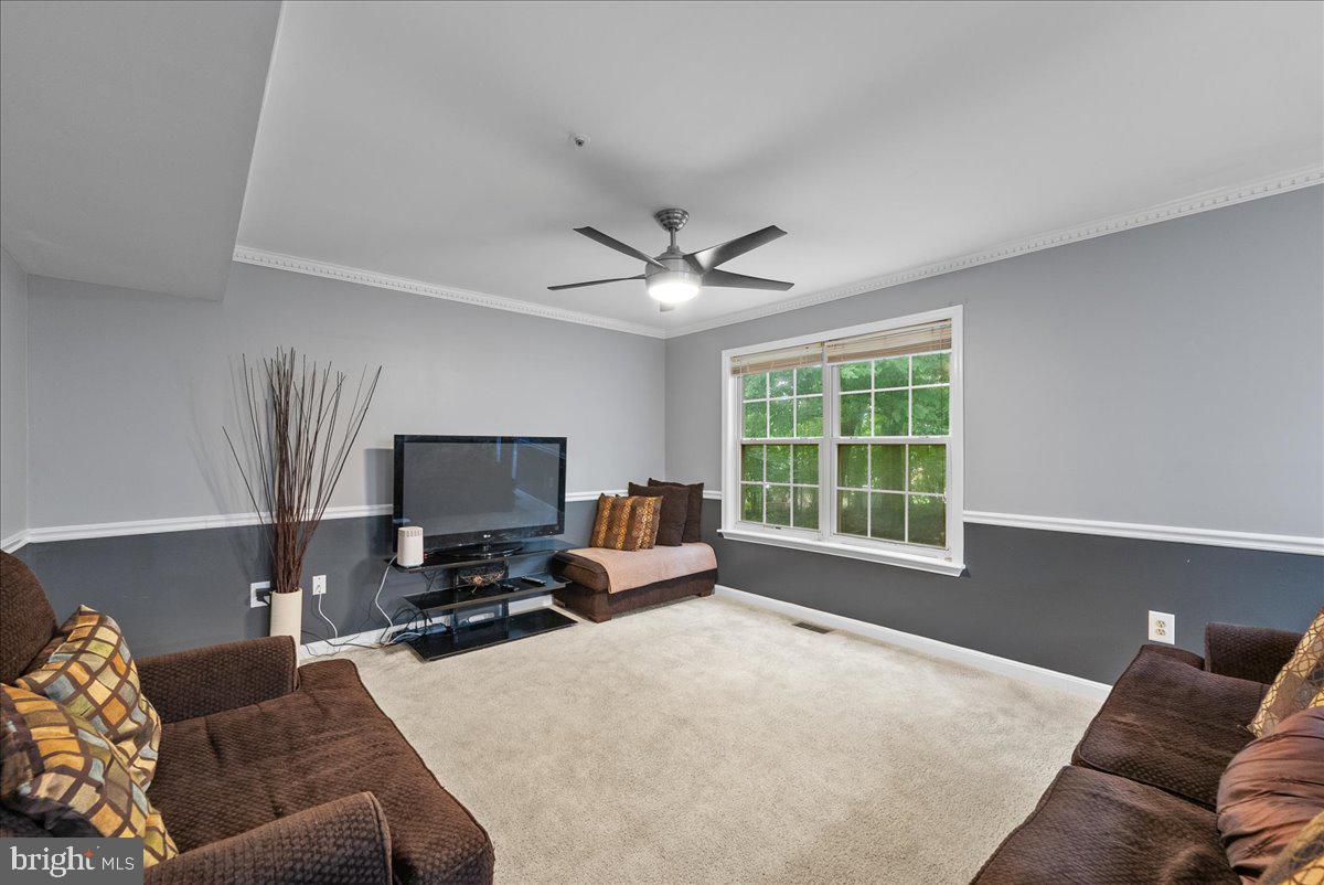 1923 Tall Timber Ct