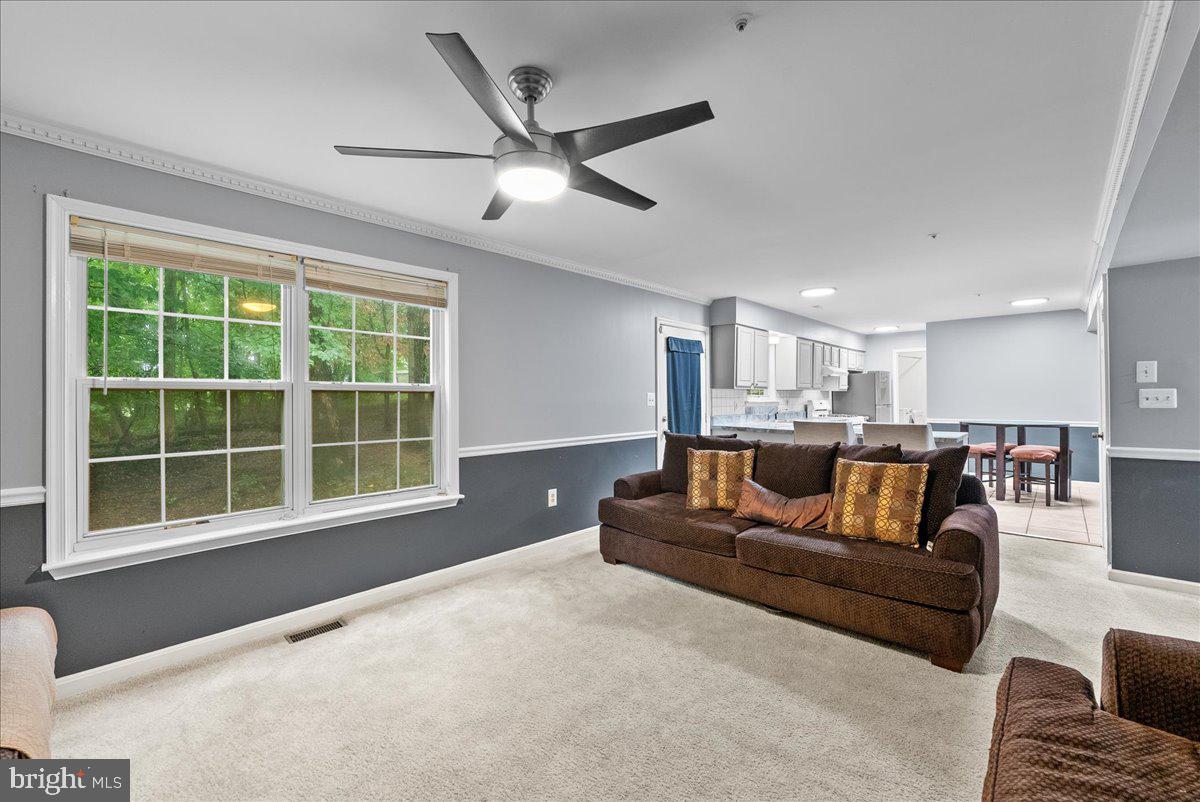 1923 Tall Timber Ct