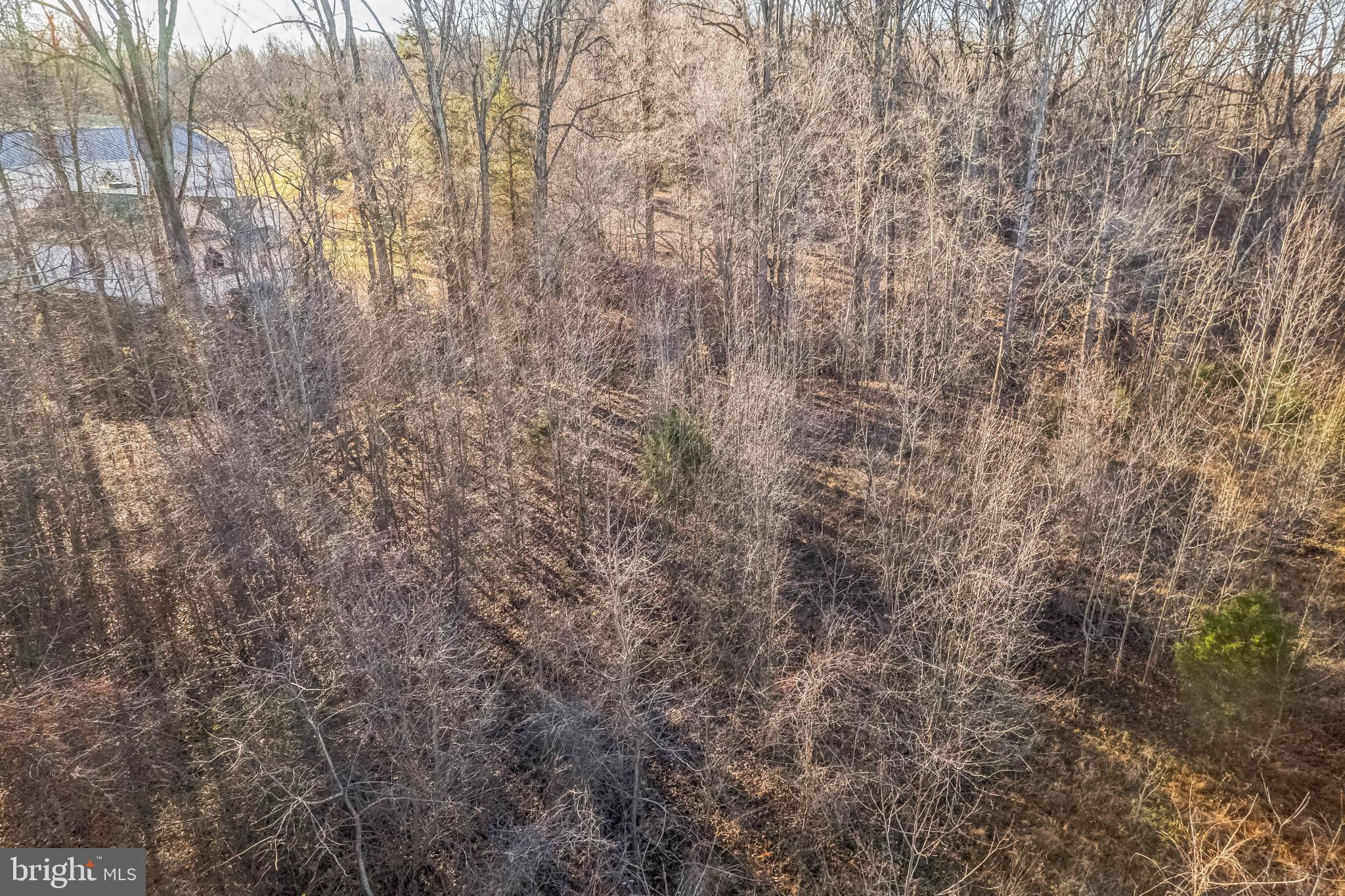 15551 Brooks Church Rd
