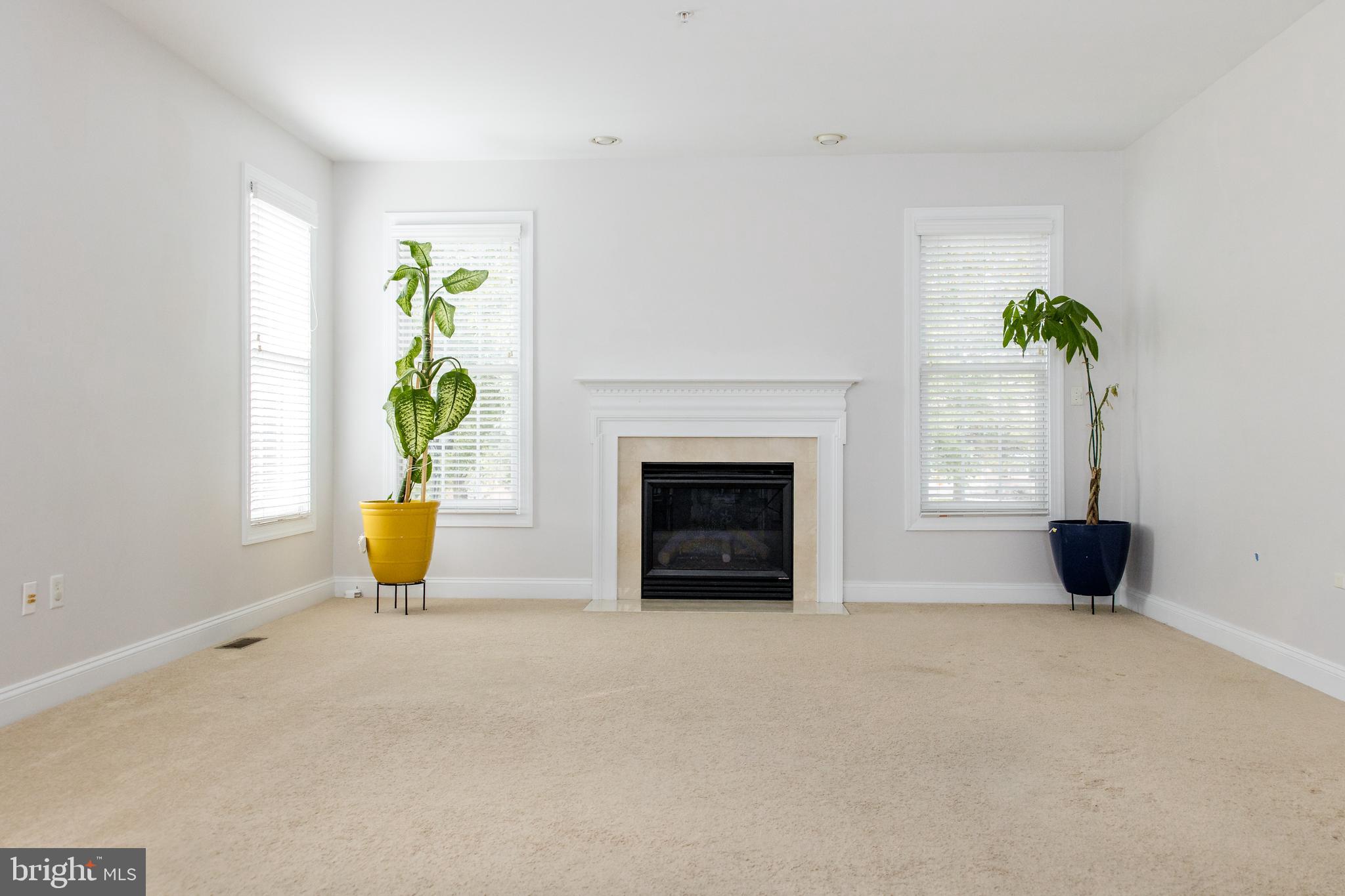 12711 GOODLOES PROMISE DRIVE