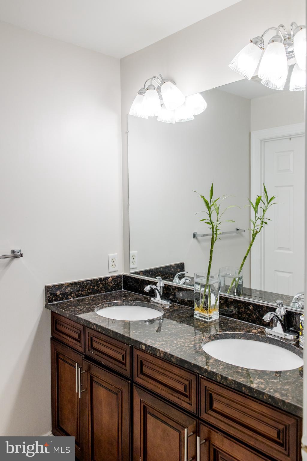 12711 GOODLOES PROMISE DRIVE