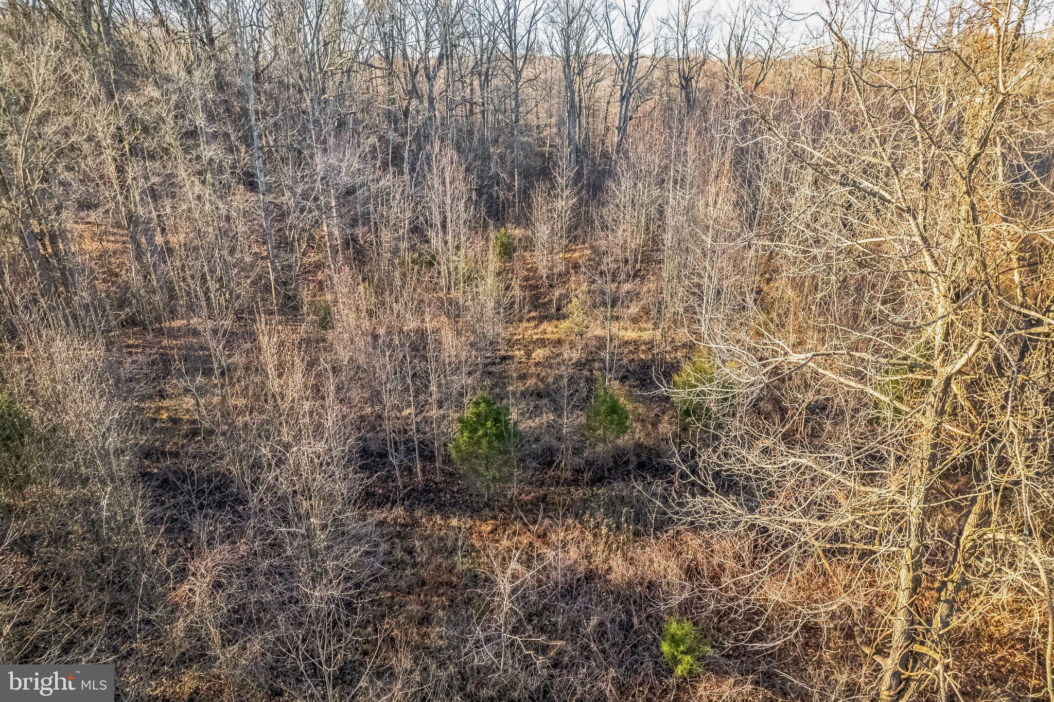 15551 BROOKS CHURCH ROAD