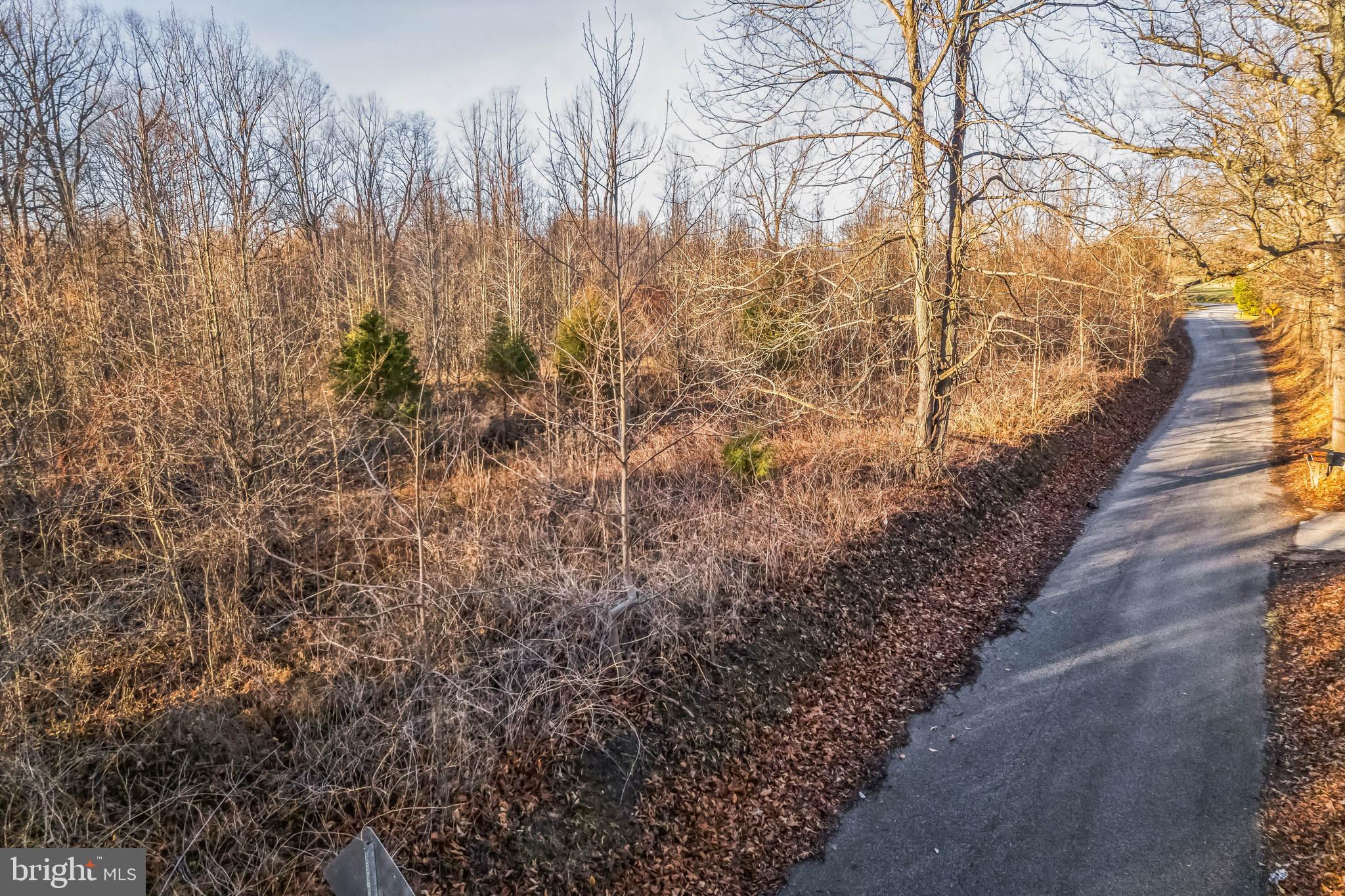 15551 BROOKS CHURCH ROAD