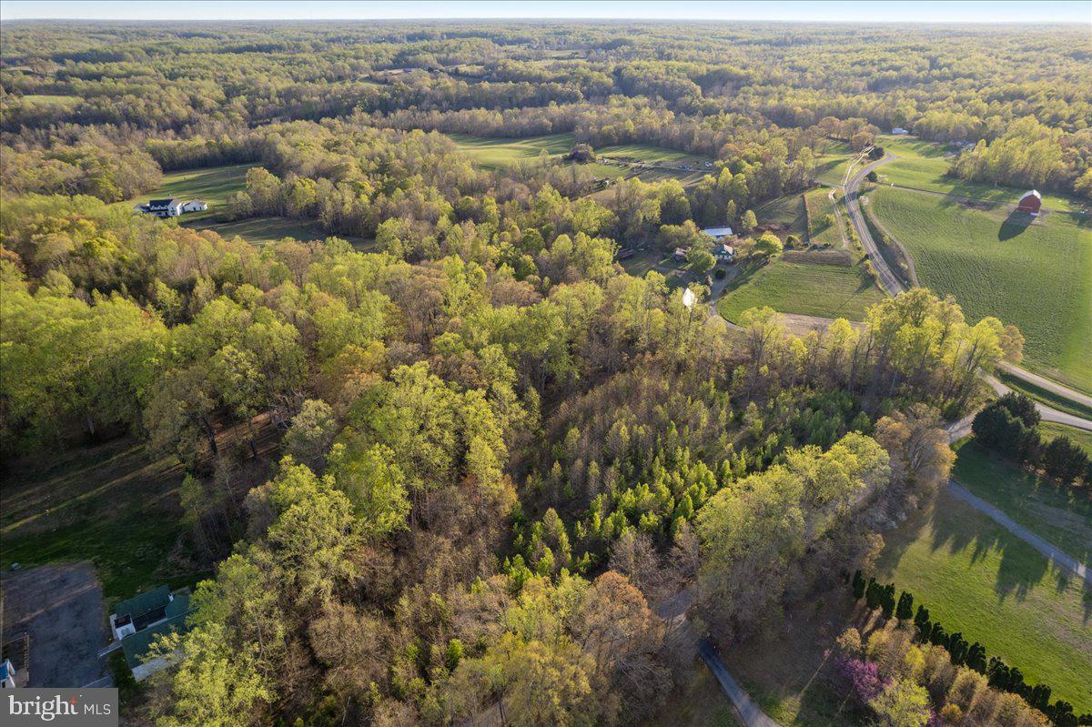 15551 BROOKS CHURCH ROAD