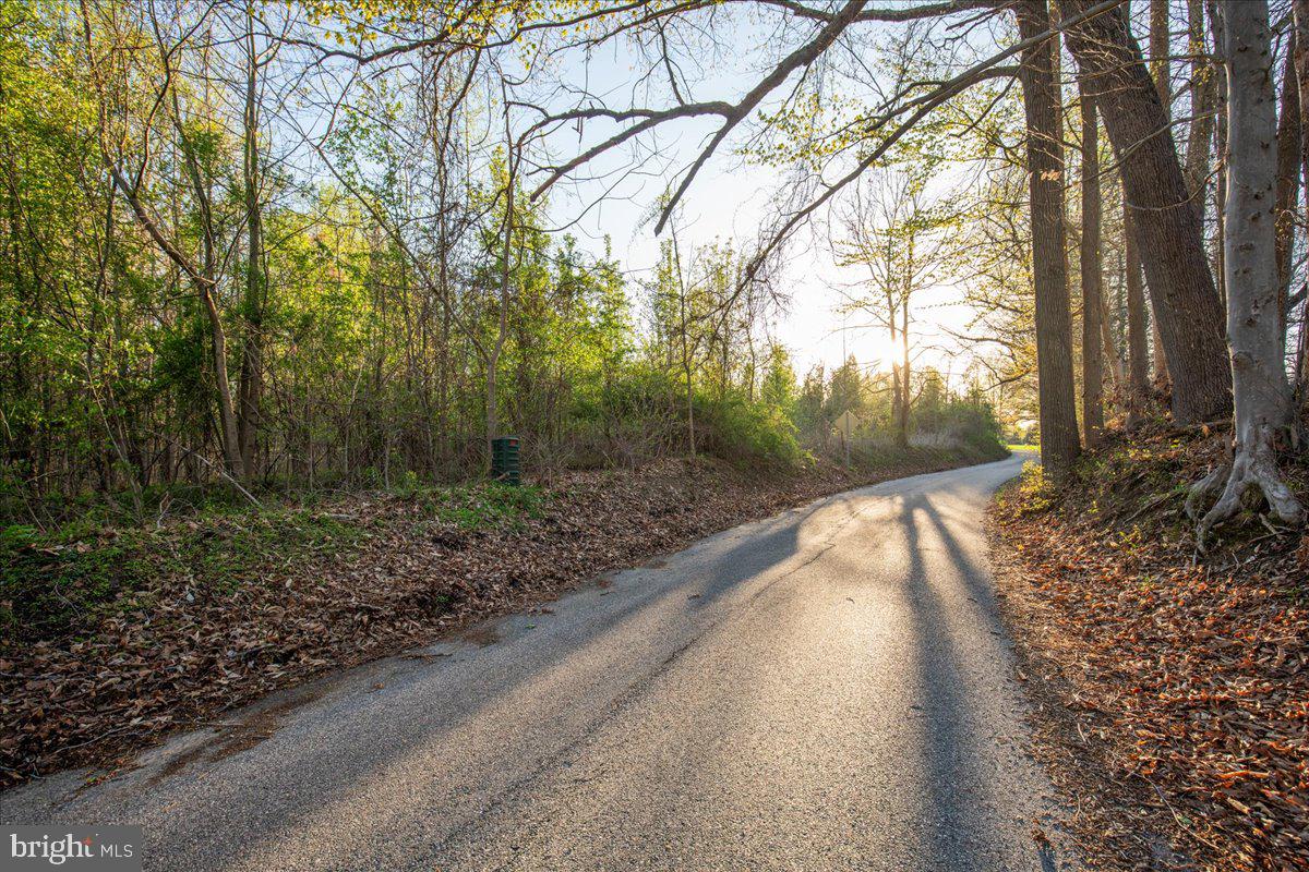 15551 BROOKS CHURCH ROAD