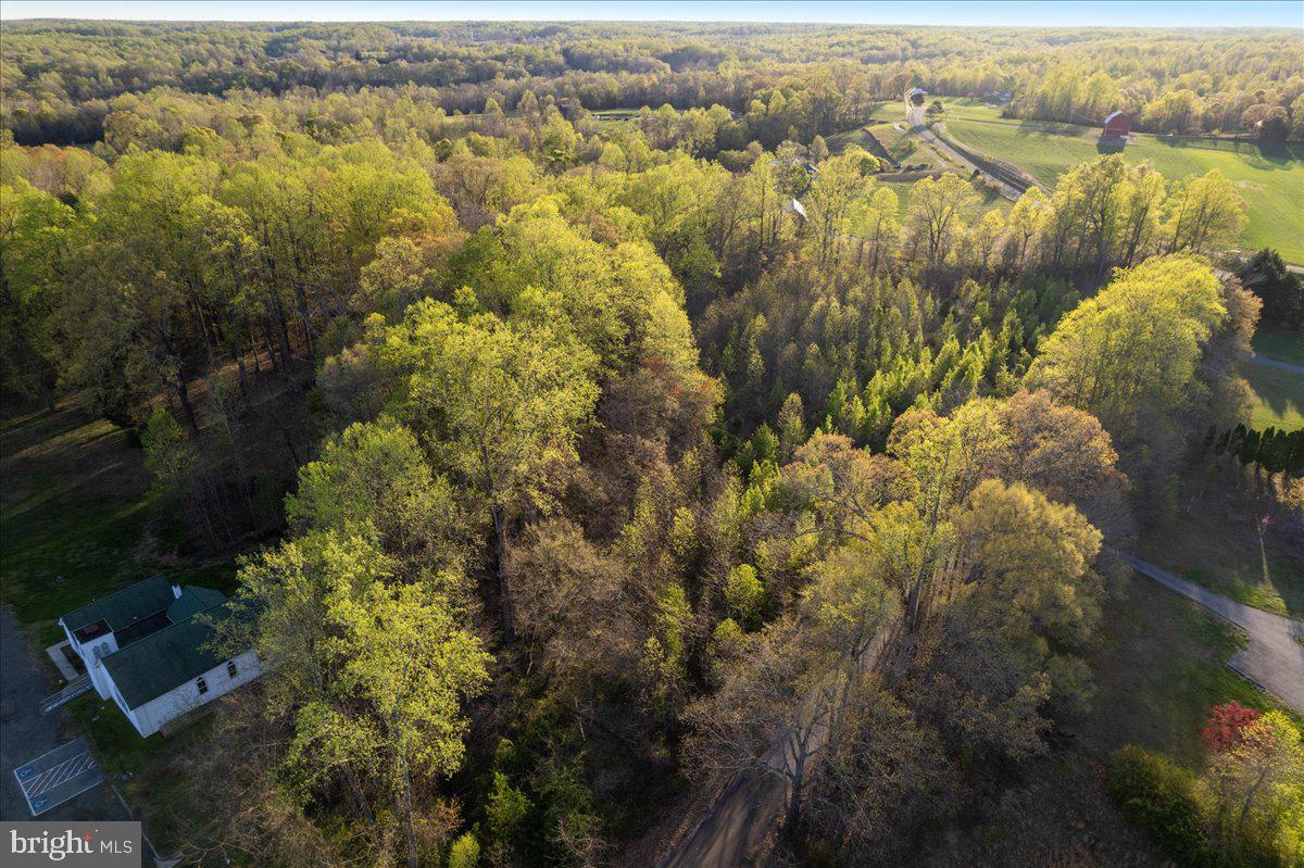 15551 BROOKS CHURCH ROAD