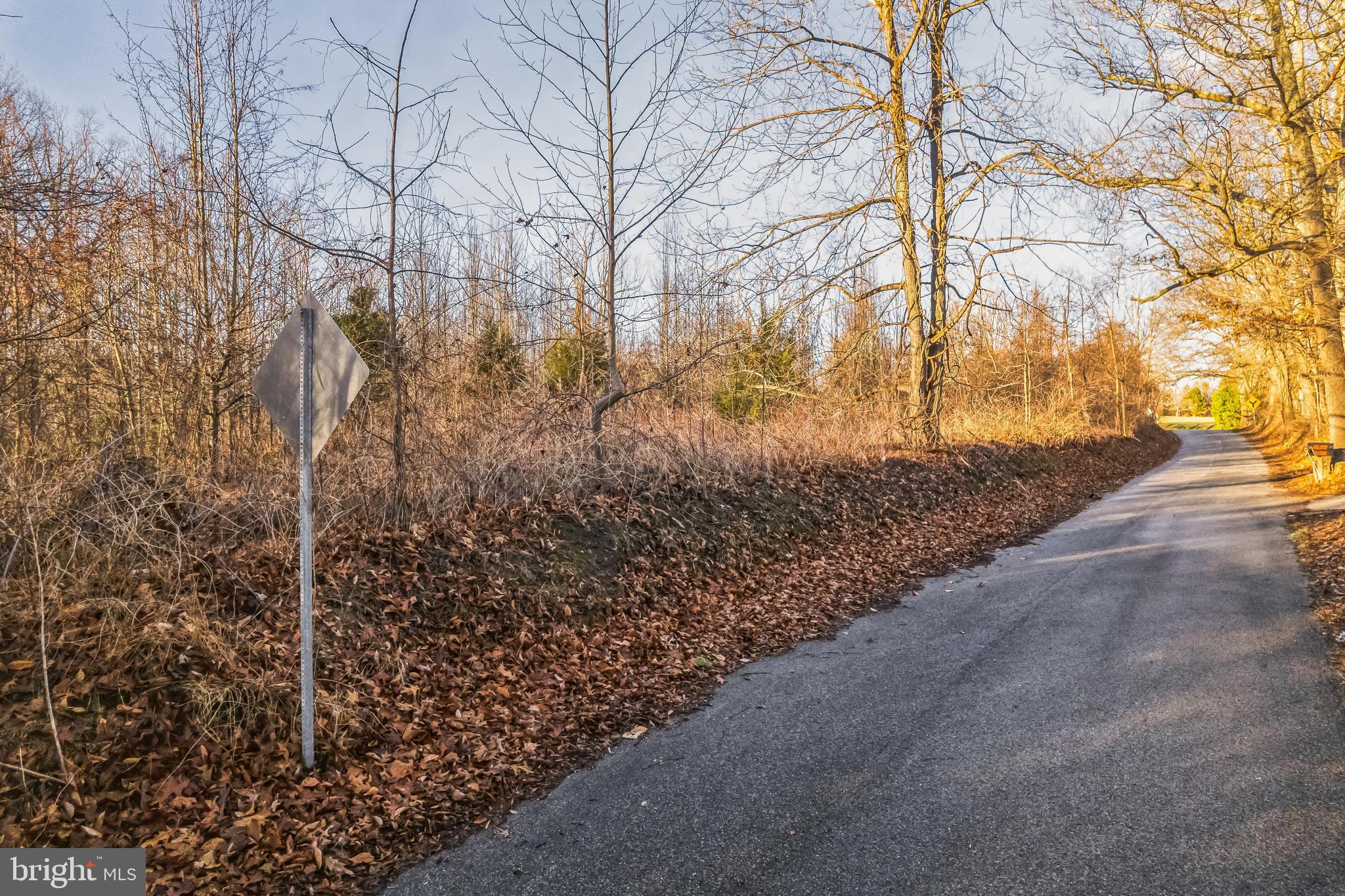 15551 BROOKS CHURCH ROAD