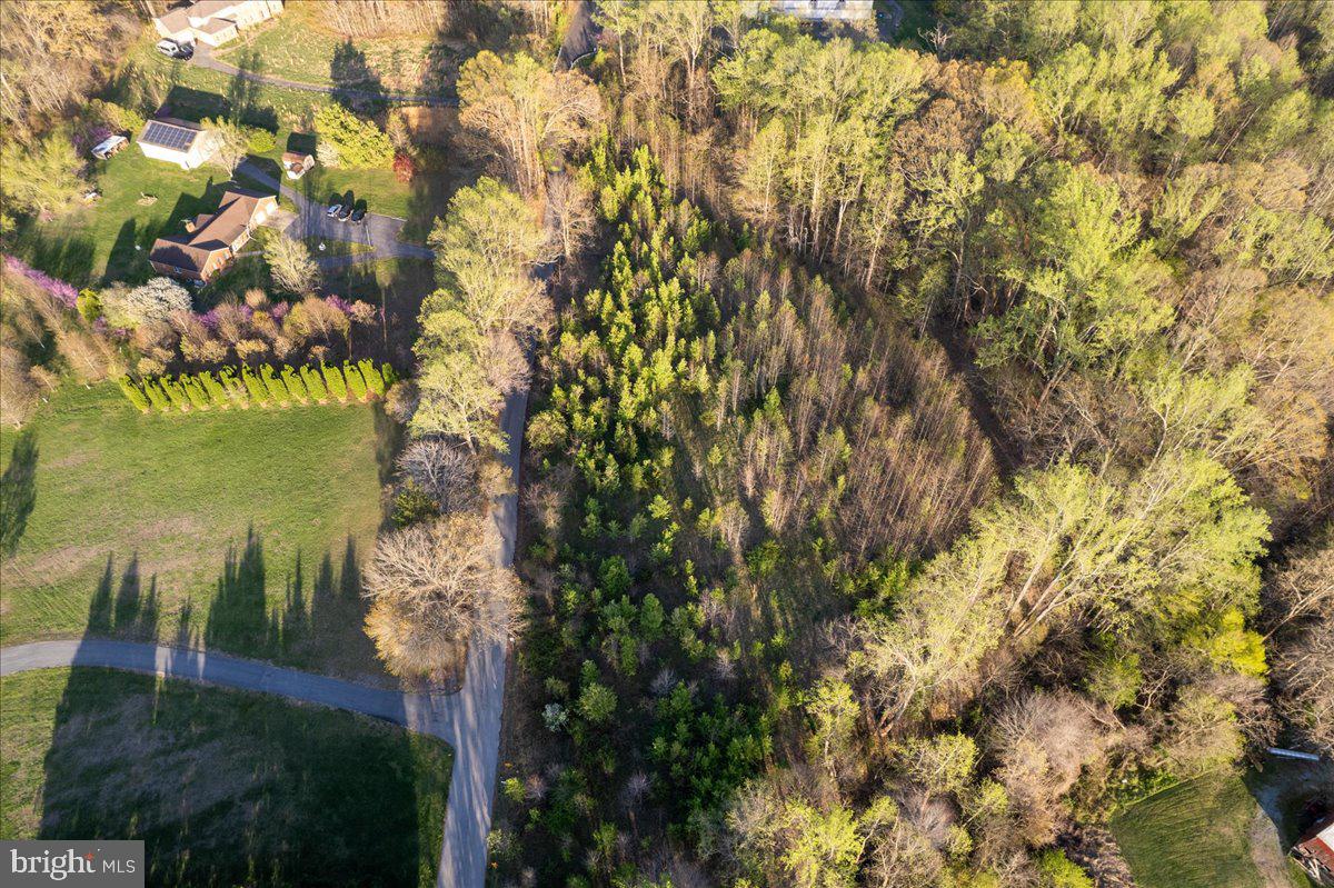 15551 BROOKS CHURCH ROAD