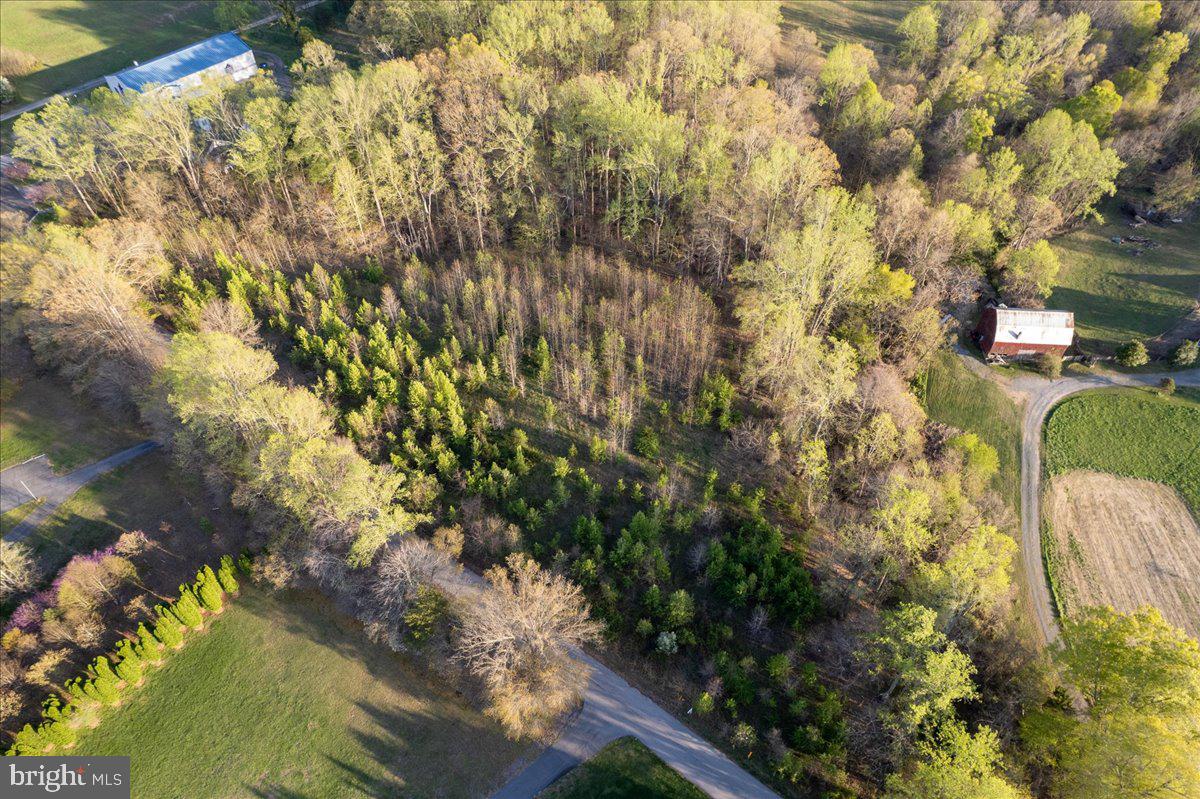 15551 BROOKS CHURCH ROAD