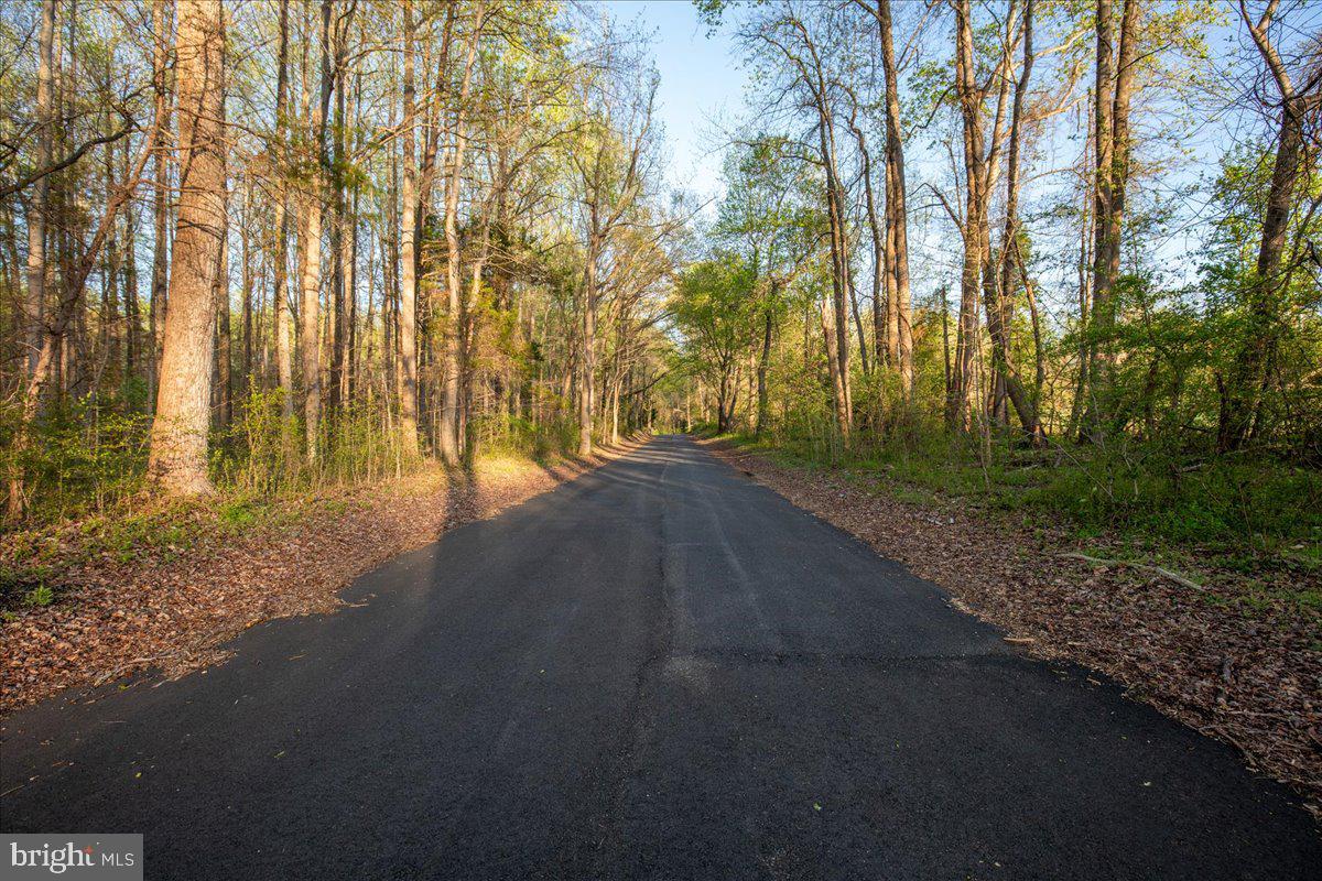 15551 BROOKS CHURCH ROAD