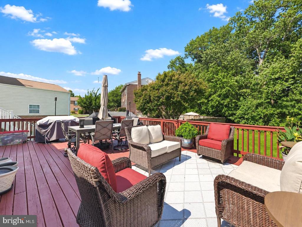 12305 BIRCHVIEW DRIVE