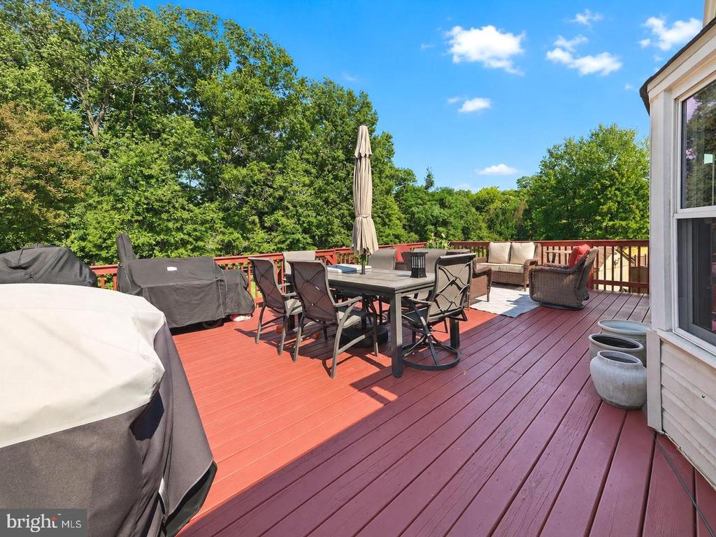 12305 BIRCHVIEW DRIVE