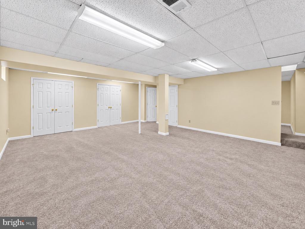 11509 BASSWOOD COURT