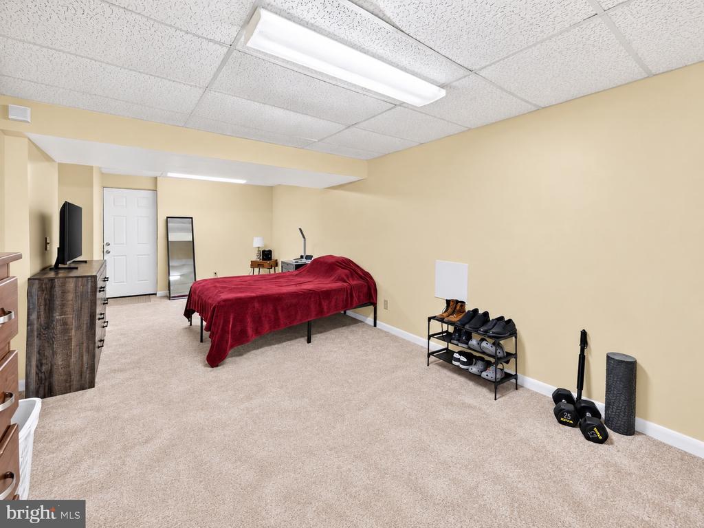 11509 BASSWOOD COURT