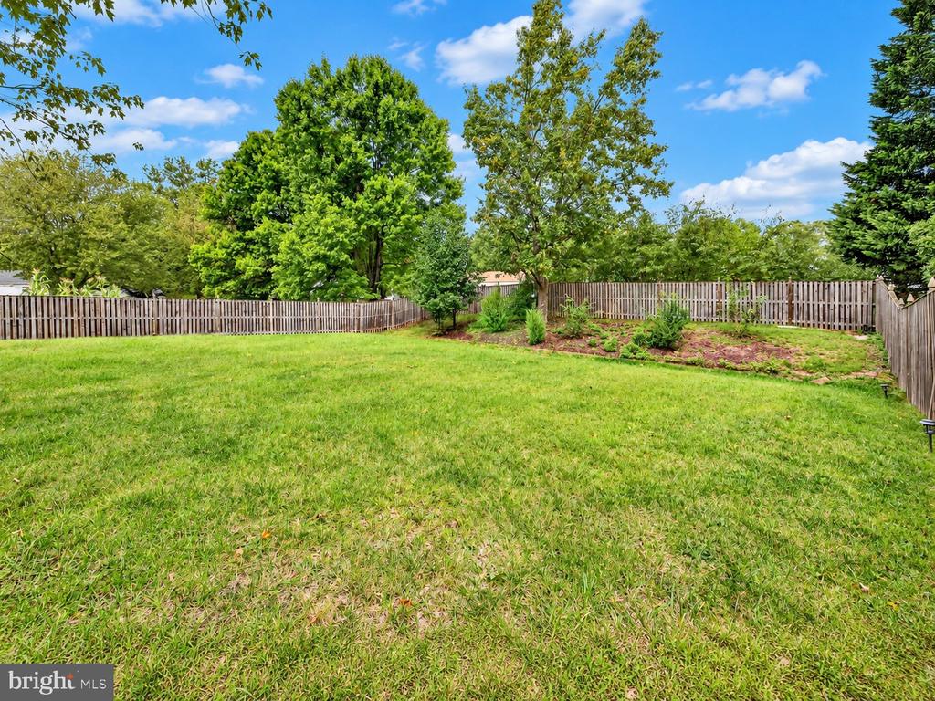 11509 BASSWOOD COURT
